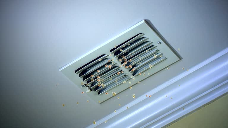 Best Best Air Duct Cleaning Company  in Augusta, GA